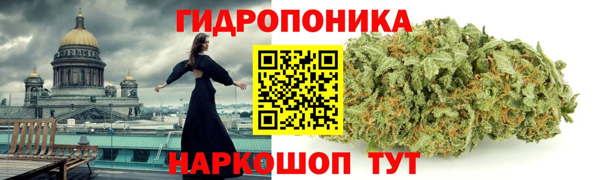 Бошки марихуана план  Вход с VPN  Рославль  Марихуана Bruce Banner 